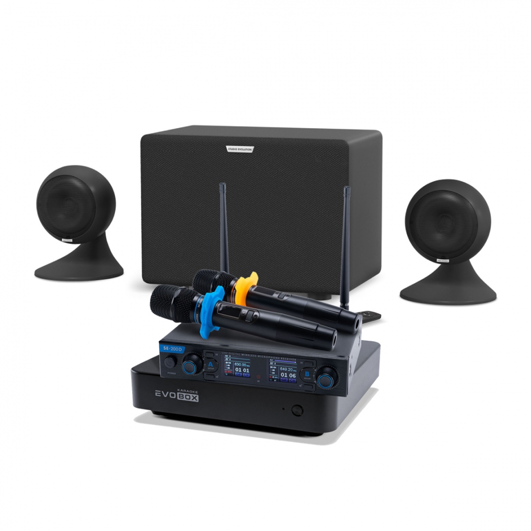 караоке-комплект EVOBOX + EvoSound Sphere 2.1 в Таганроге