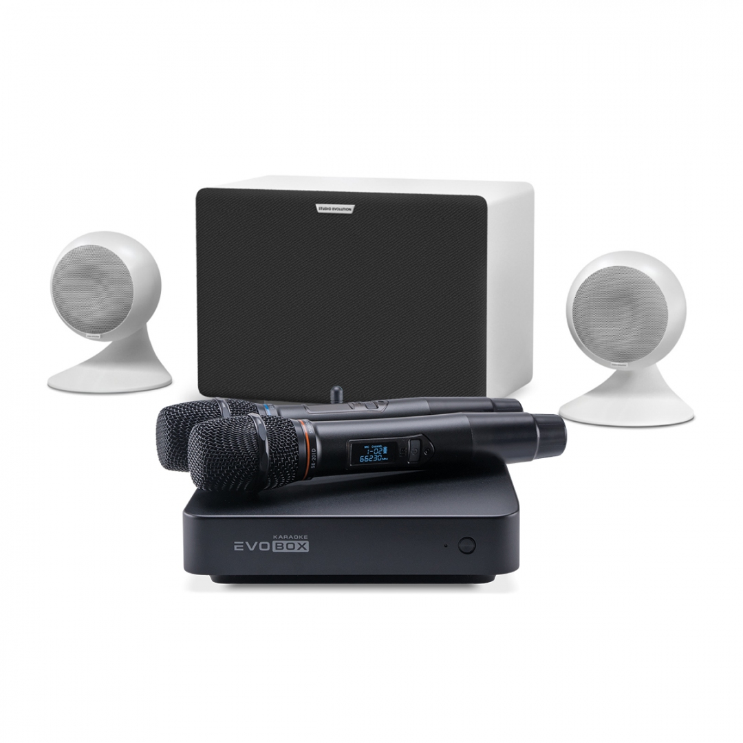 караоке-комплект EVOBOX Classic + EvoSound Sphere 2.1 в Таганроге