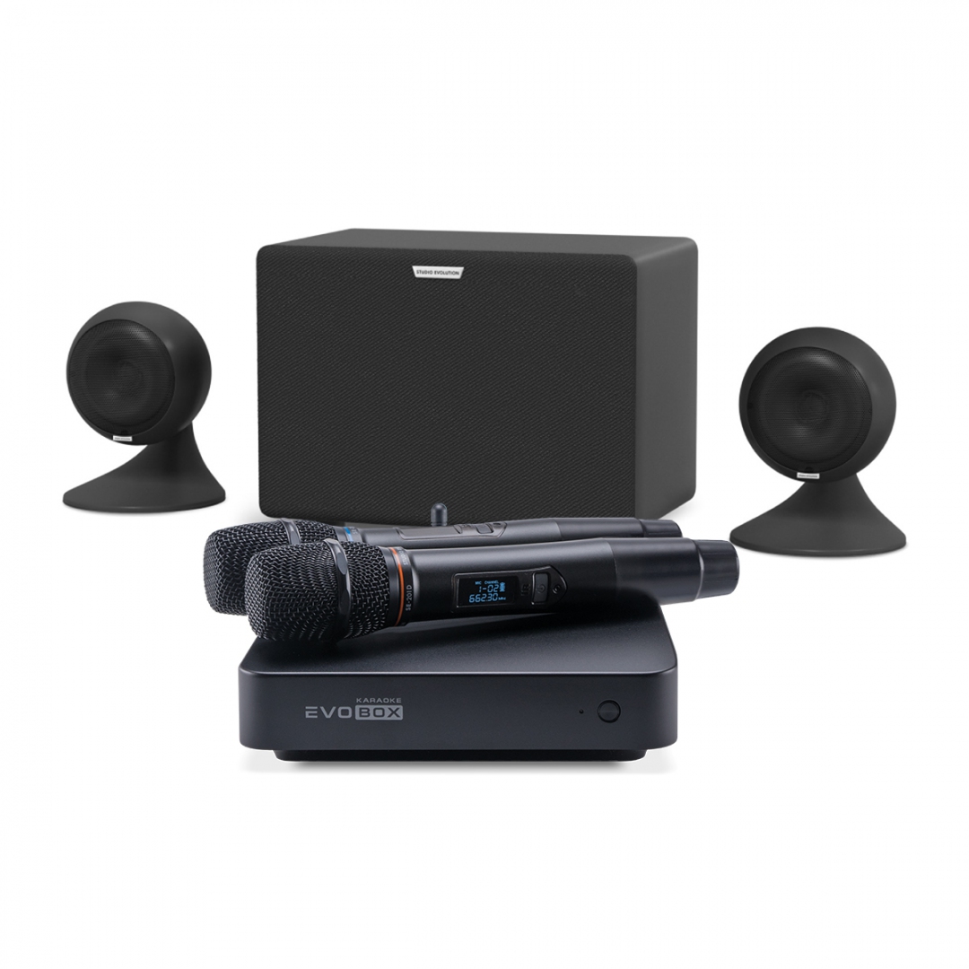 караоке-комплект EVOBOX Plus + EvoSound Sphere 2.1 в Таганроге