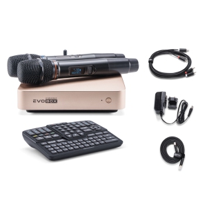 EVOBOX Classic караоке-система для дома в Таганроге