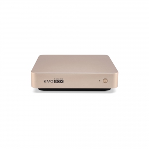 EVOBOX с микрофонами в Таганроге